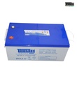 BATERIA DE GELATINA  12V 250A